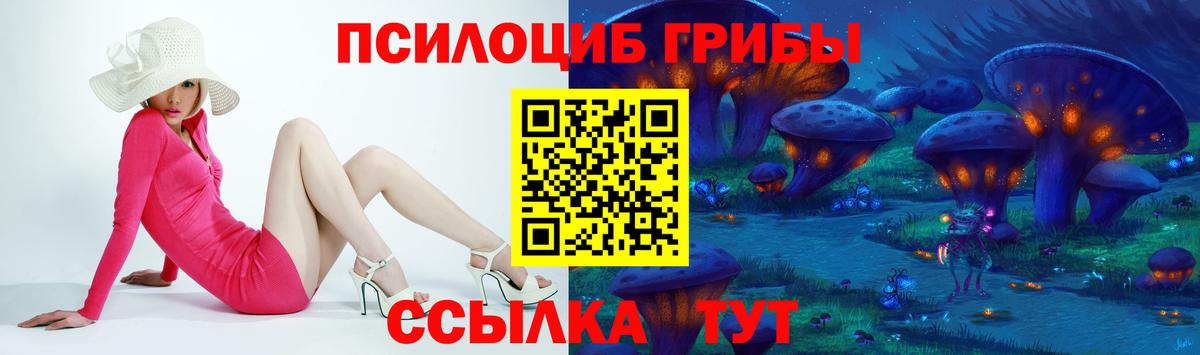 Псилоцибиновые грибы прущие грибы Великие Луки